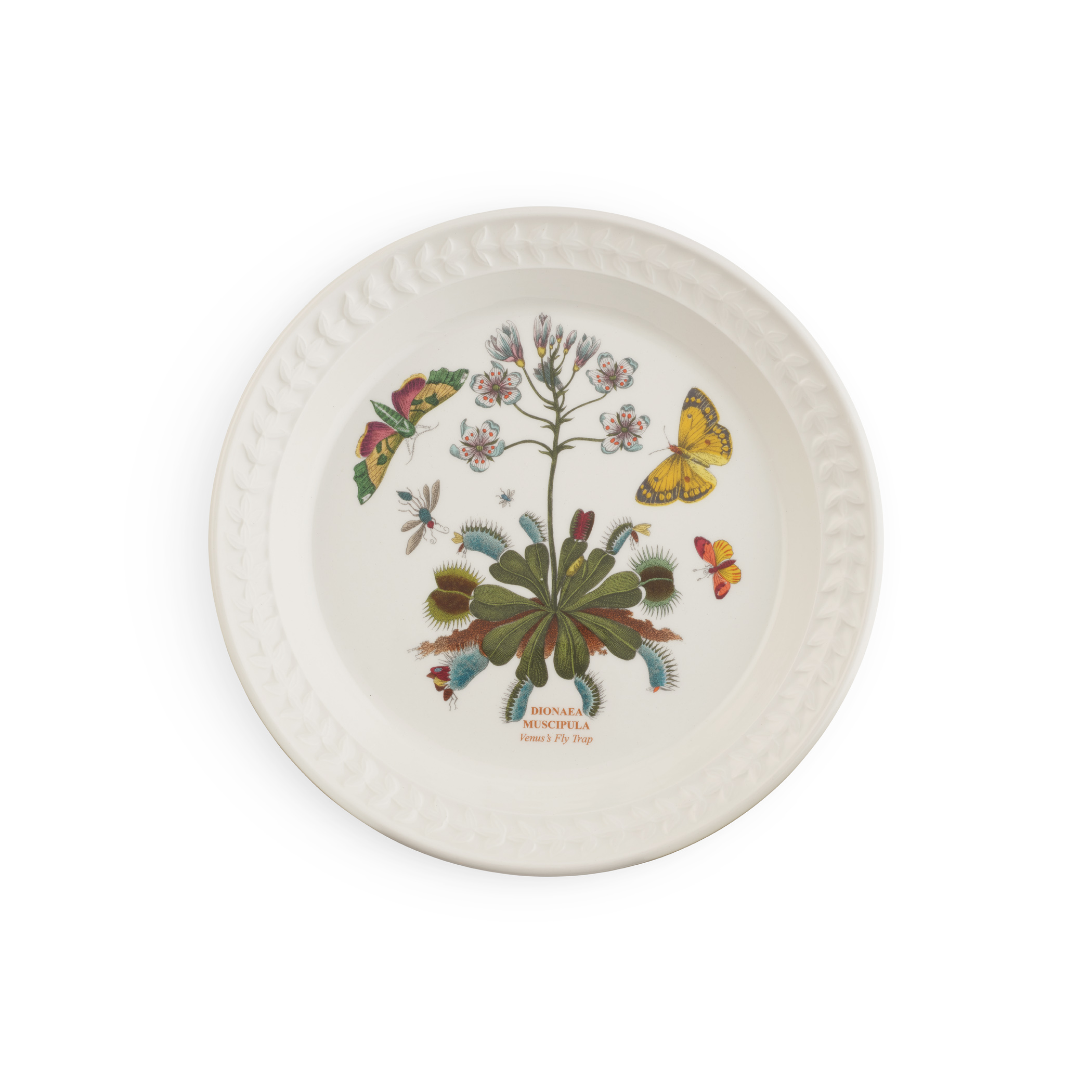 Botanic Garden Harmony Papilio Amber 8.5 Inch Salad Plate (Venus Fly Trap) image number null